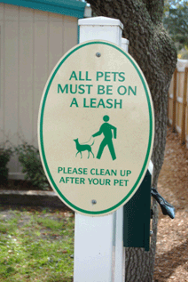 Dog Park